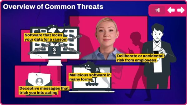 elearning Course: Cyber Security Awareness for Financial Services - Luxembourg Version - Image 4
